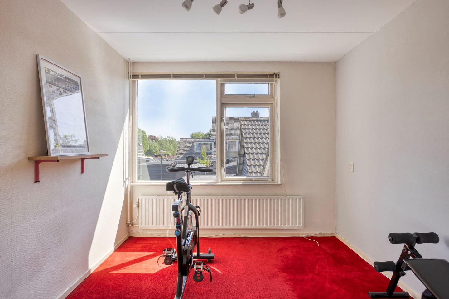 Foto 19 van Steurstraat 53