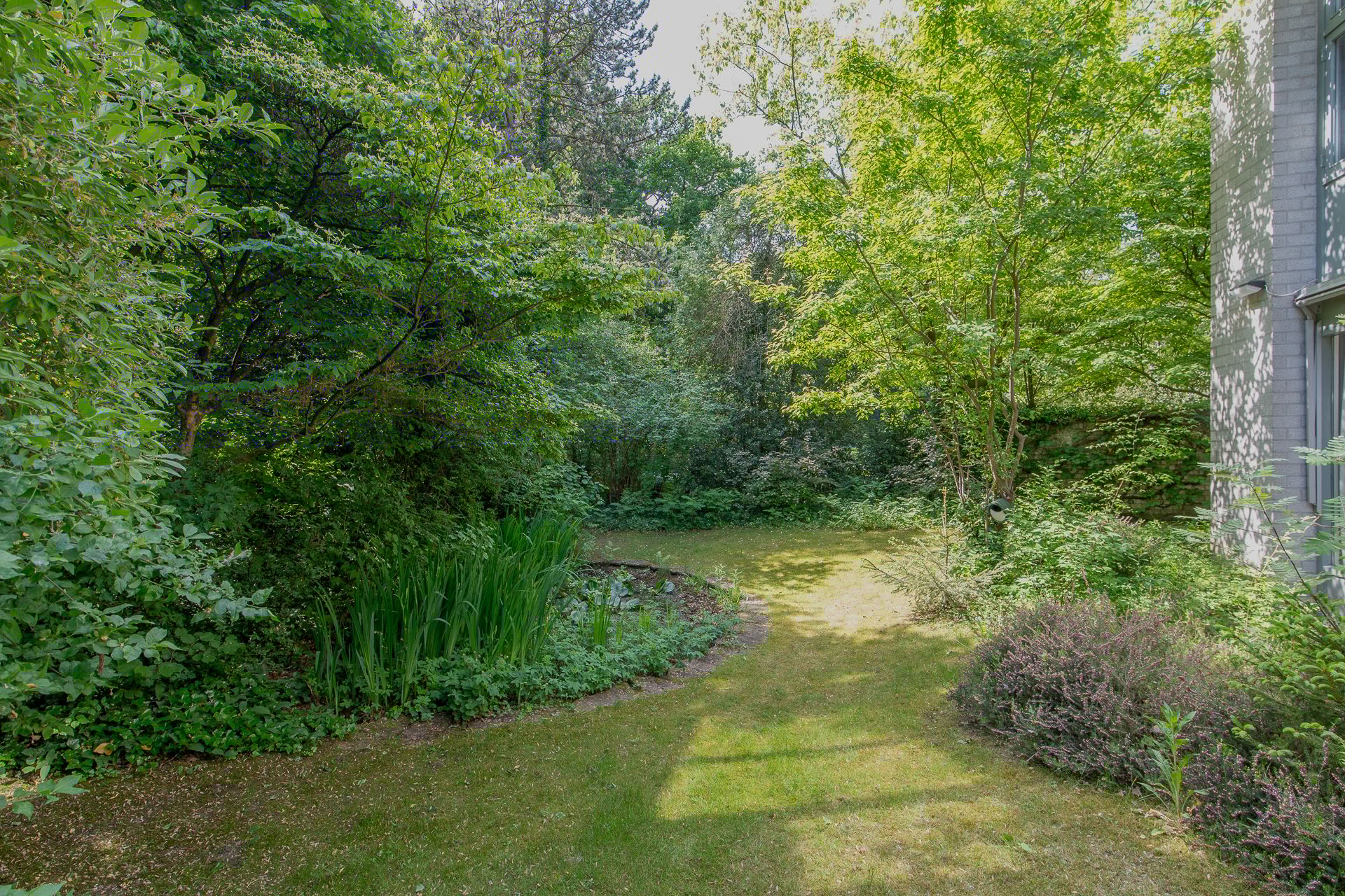 Foto 33 van Kastanjelaan 33