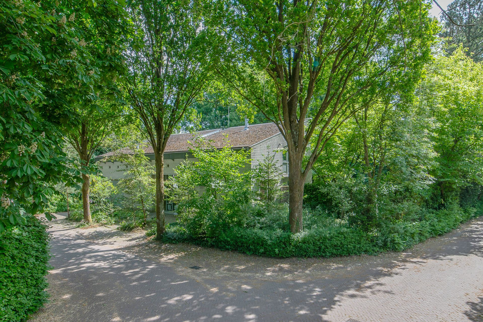 Foto 39 van Kastanjelaan 33