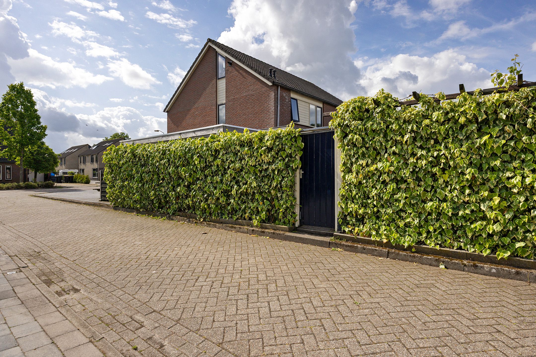 Foto 42 van Buitenroede 11