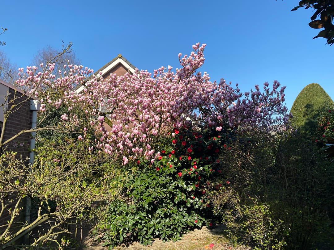 Photo 46 of Rozenhof 1