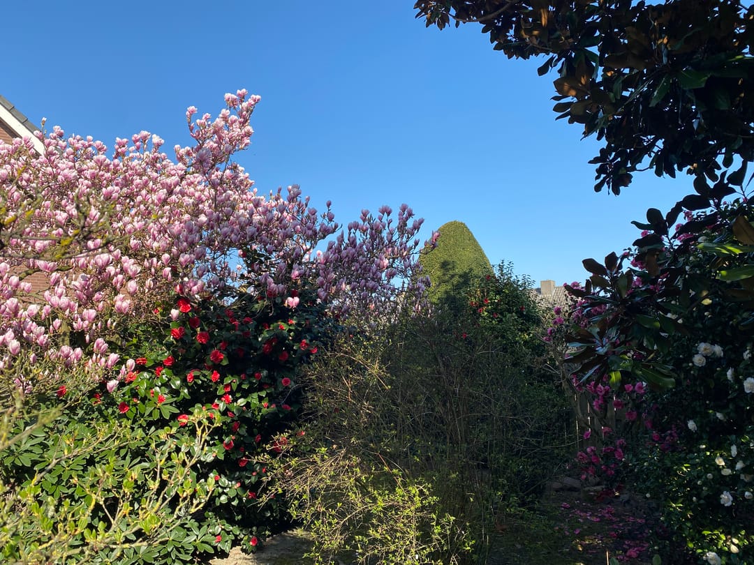 Photo 47 of Rozenhof 1