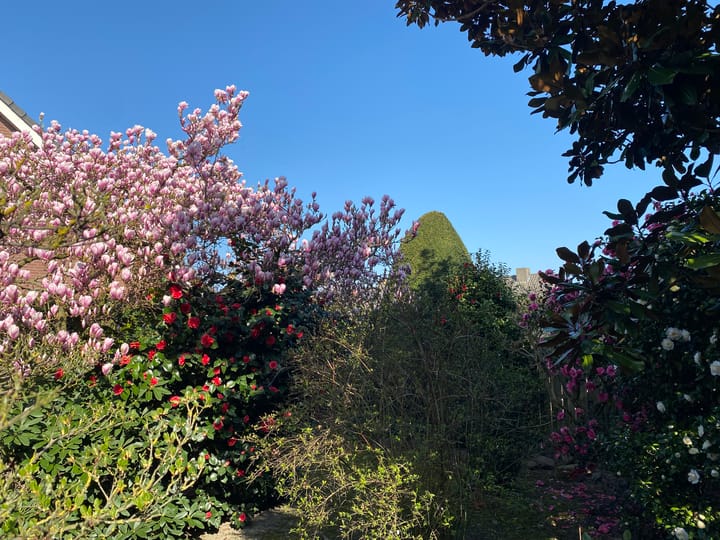 Foto 47 van Rozenhof 1