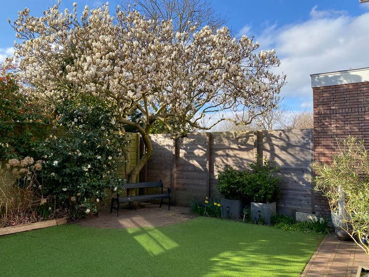 Foto 51 van Heemsteedse Dreef 169