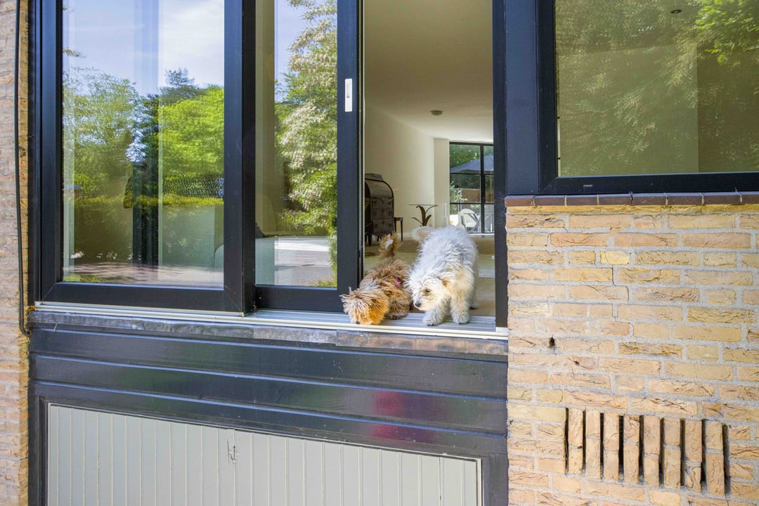 Foto 22 van Gezichtslaan 1-B