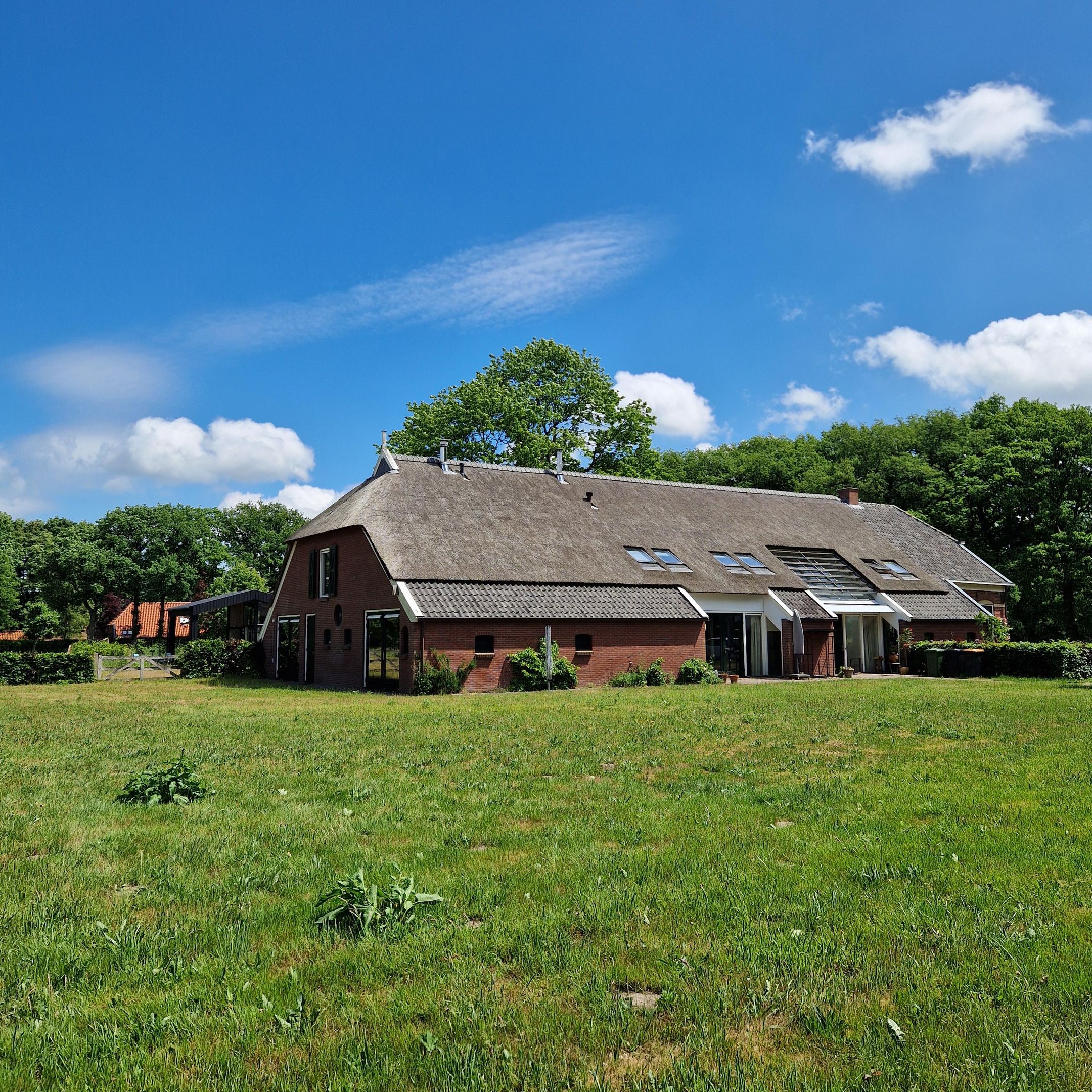 Foto 3 van Tolhuisweg 49