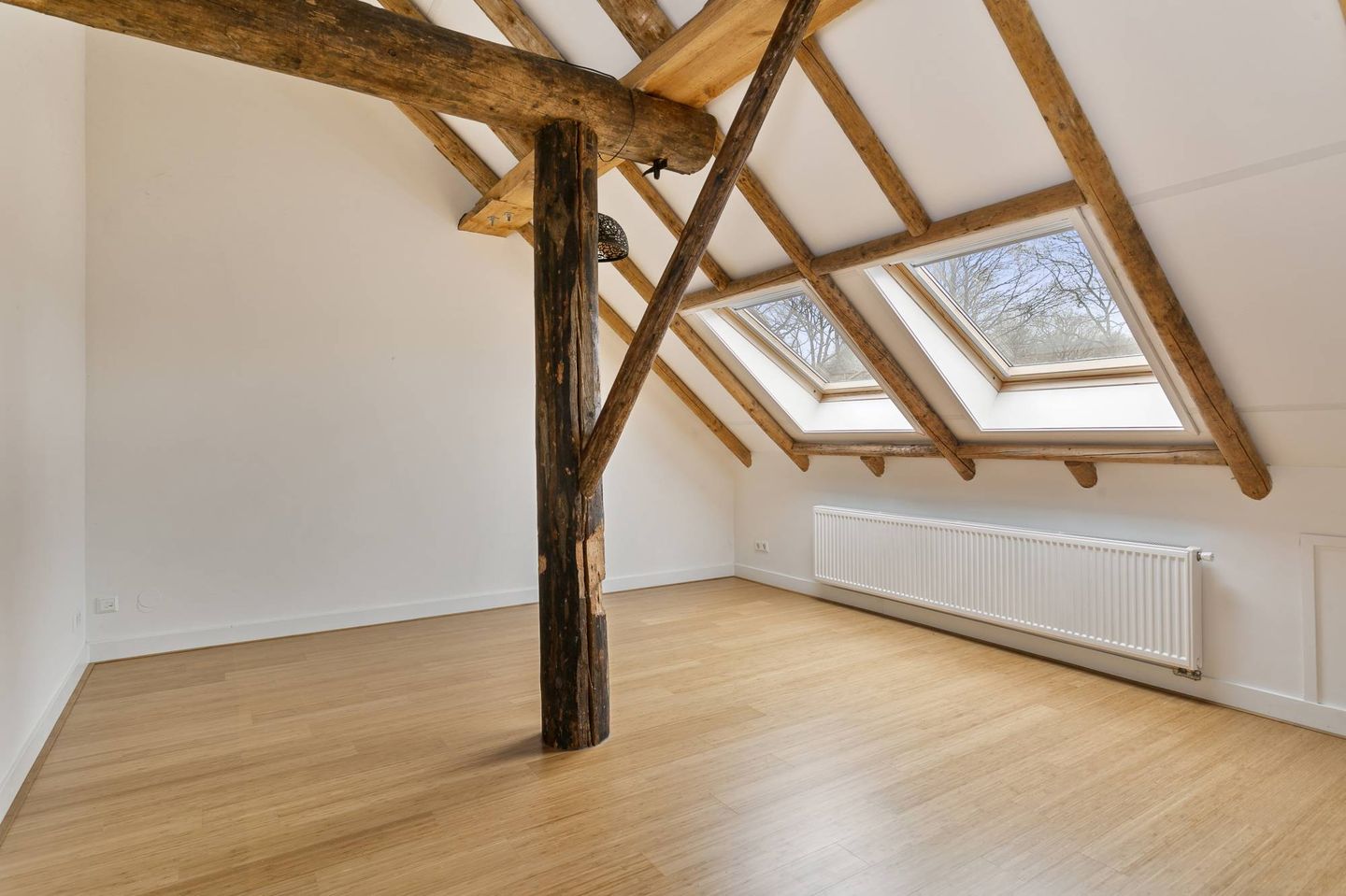 Foto 19 van Tolhuisweg 49