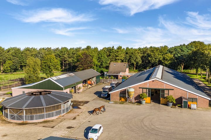 Foto 3 van Nederheide 9-A