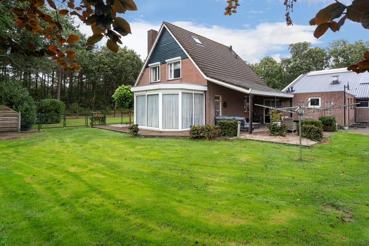 Foto 26 van Nederheide 9-A