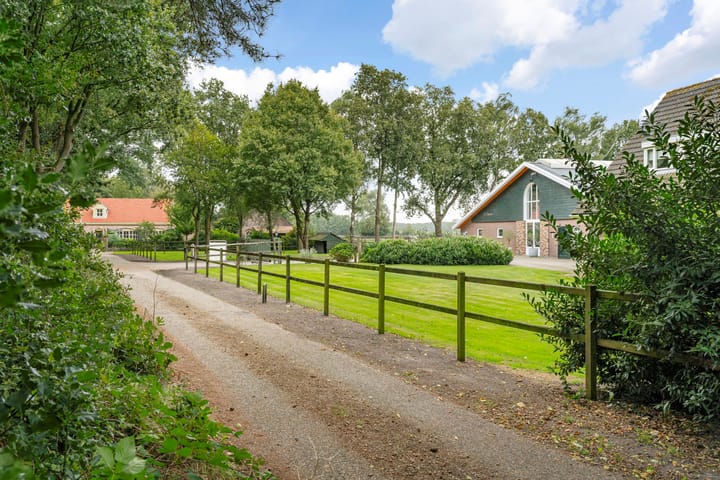 Foto 30 van Nederheide 9-A