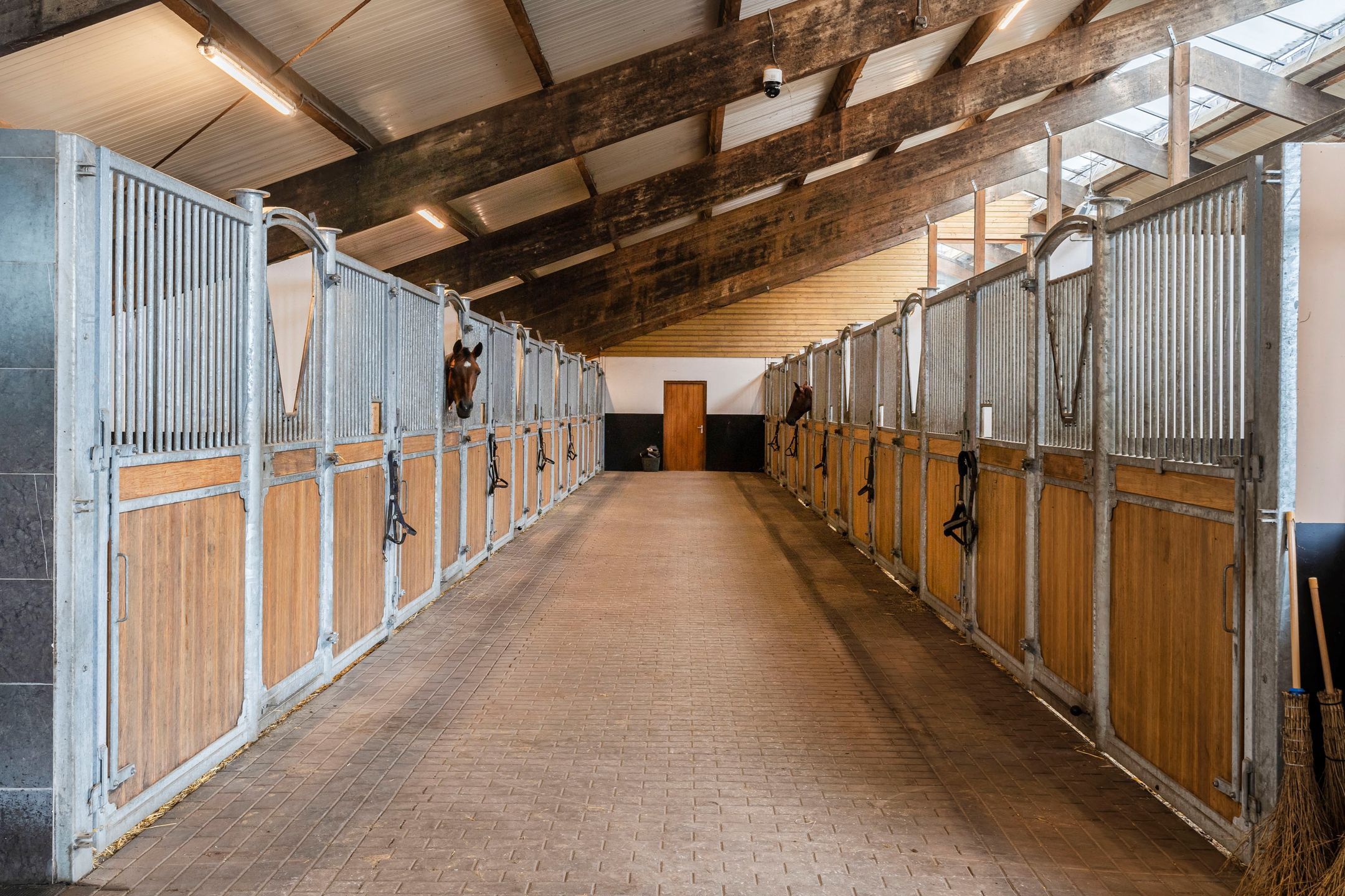 Foto 39 van Nederheide 9-A