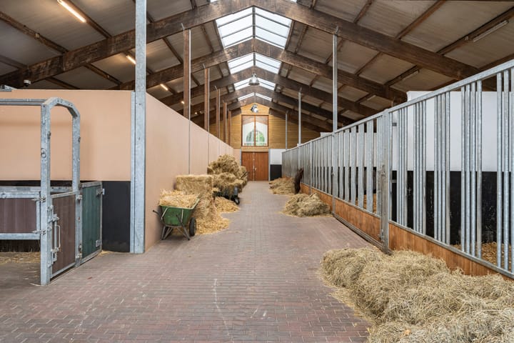 Foto 40 van Nederheide 9-A