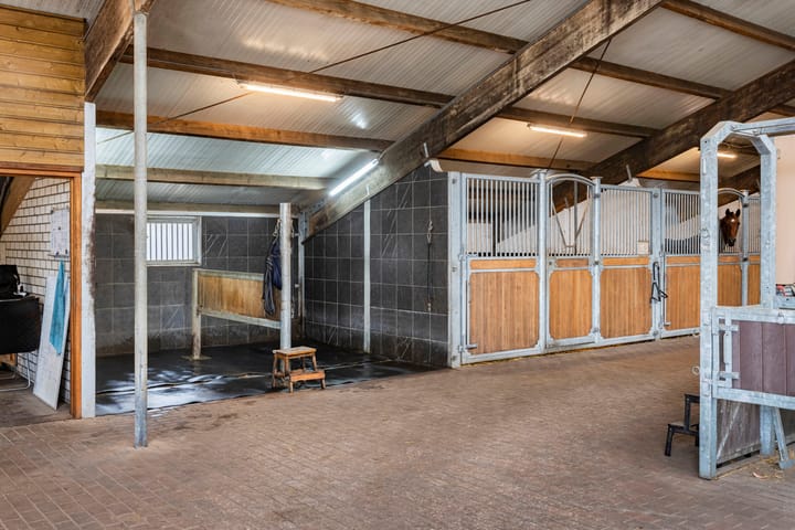 Foto 41 van Nederheide 9-A