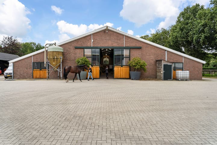 Foto 42 van Nederheide 9-A