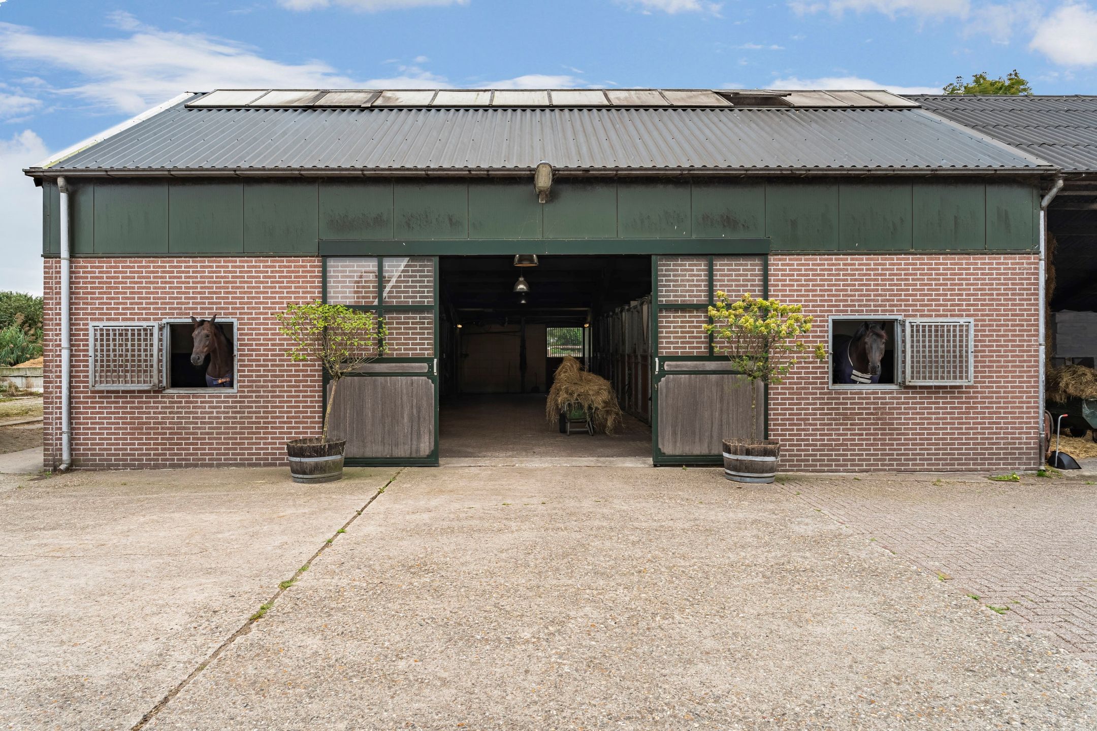 Foto 45 van Nederheide 9-A