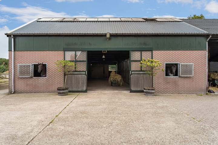 Foto 45 van Nederheide 9-A