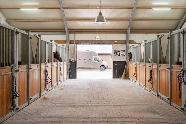 Foto 46 van Nederheide 9-A