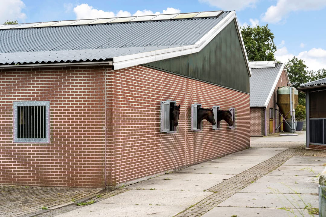 Foto 47 van Nederheide 9-A