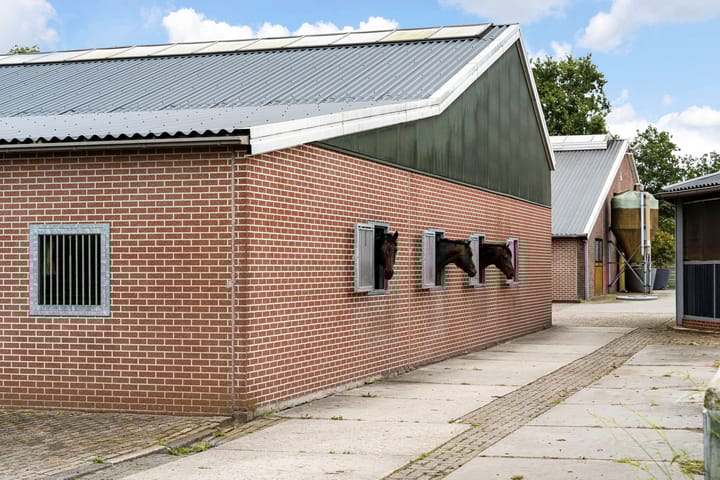 Foto 47 van Nederheide 9-A