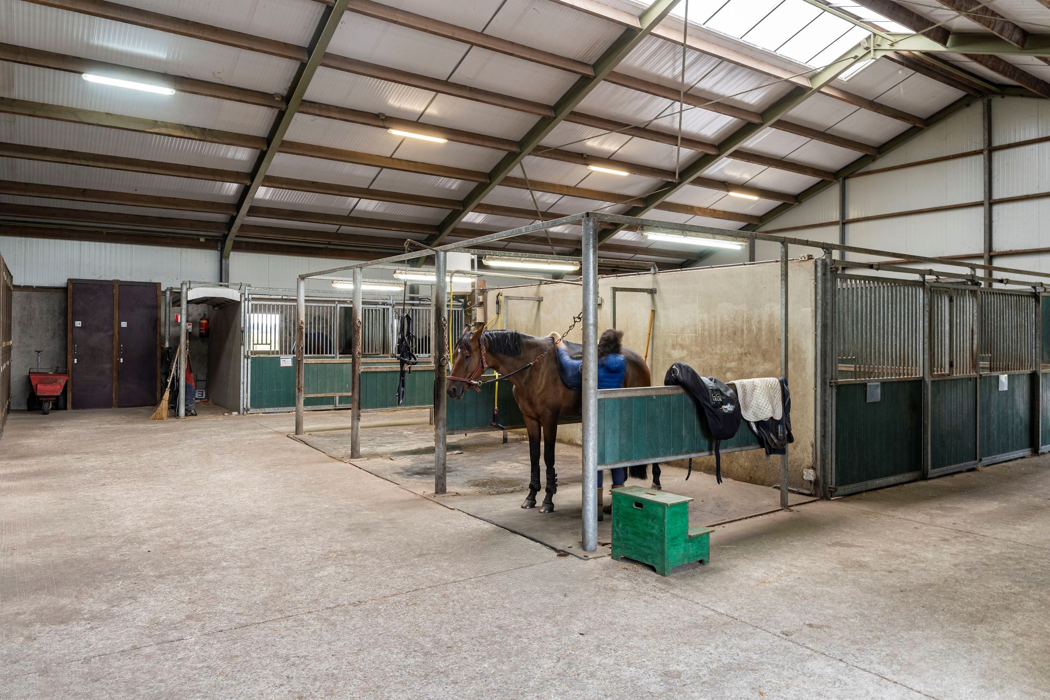 Foto 51 van Nederheide 9-A