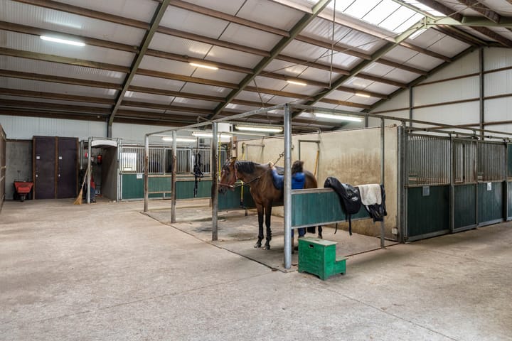 Foto 51 van Nederheide 9-A