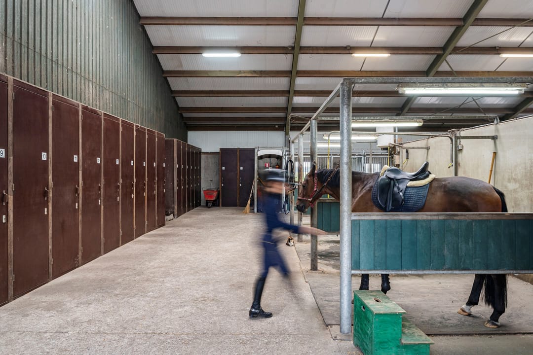 Foto 52 van Nederheide 9-A