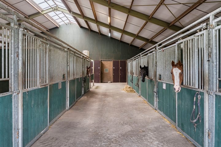 Foto 53 van Nederheide 9-A