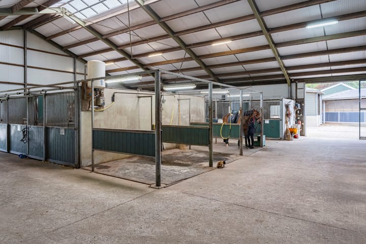 Foto 54 van Nederheide 9-A