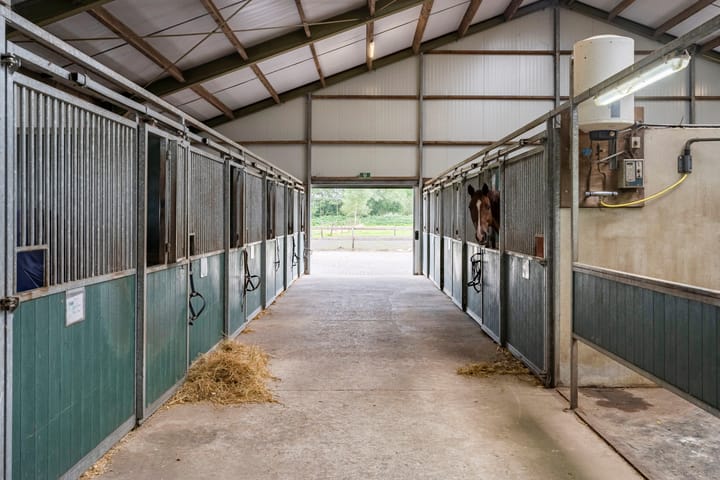 Foto 55 van Nederheide 9-A