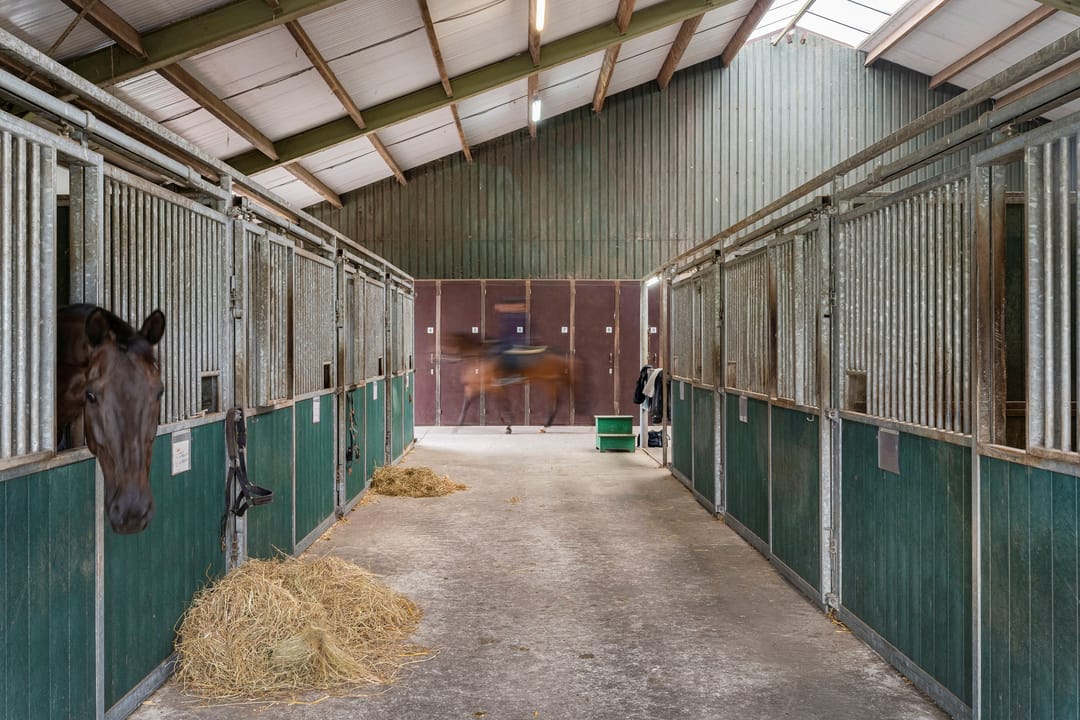 Foto 56 van Nederheide 9-A