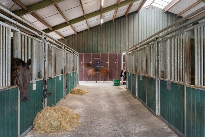 Foto 56 van Nederheide 9-A