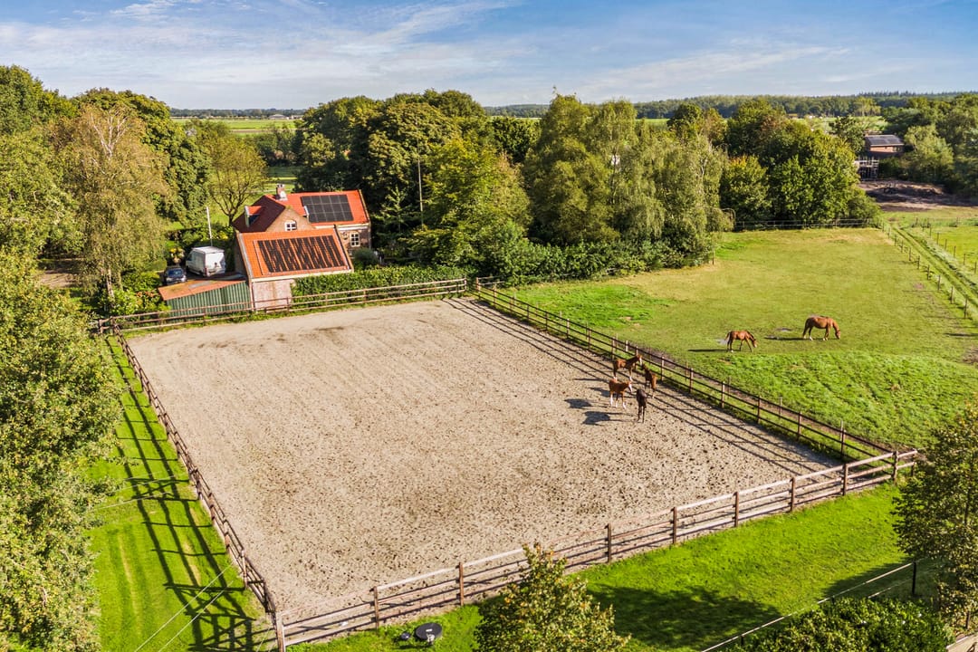 Foto 62 van Nederheide 9-A