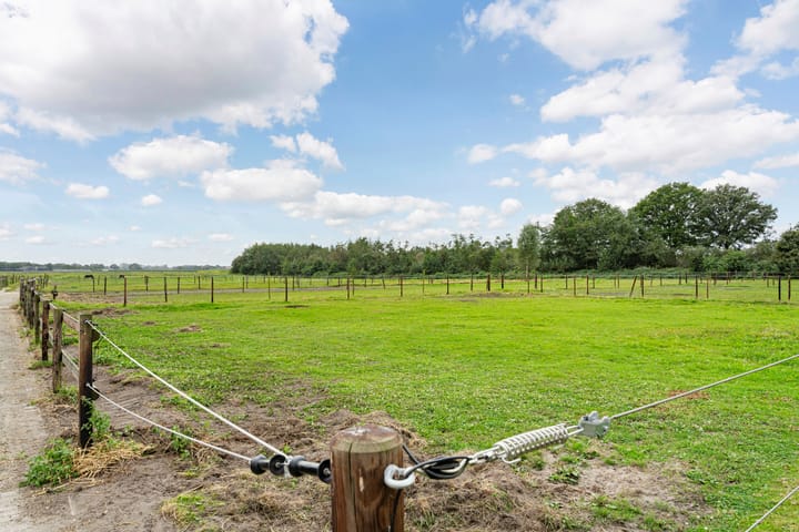 Foto 63 van Nederheide 9-A