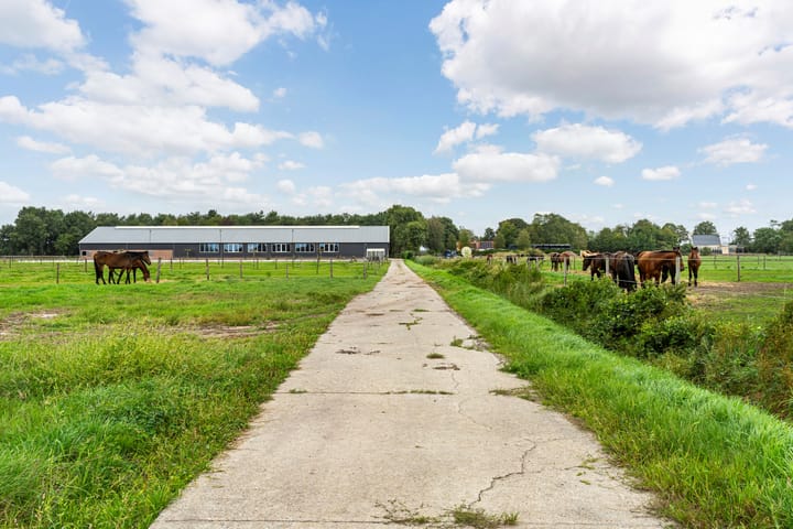 Foto 65 van Nederheide 9-A