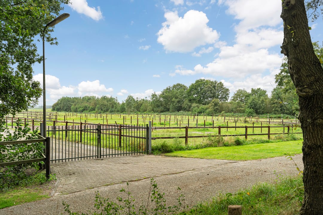 Foto 67 van Nederheide 9-A