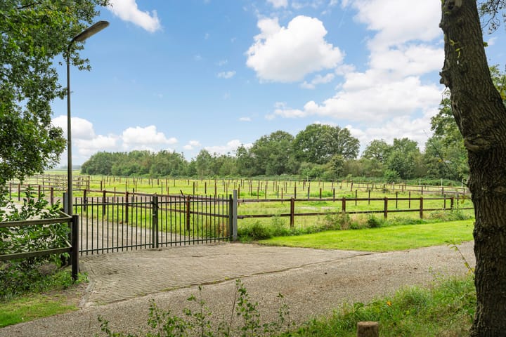 Foto 67 van Nederheide 9-A