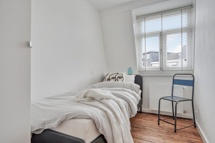 Foto 33 van Hasseltstraat 275