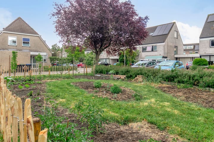 Foto 47 van De Ruiter 5