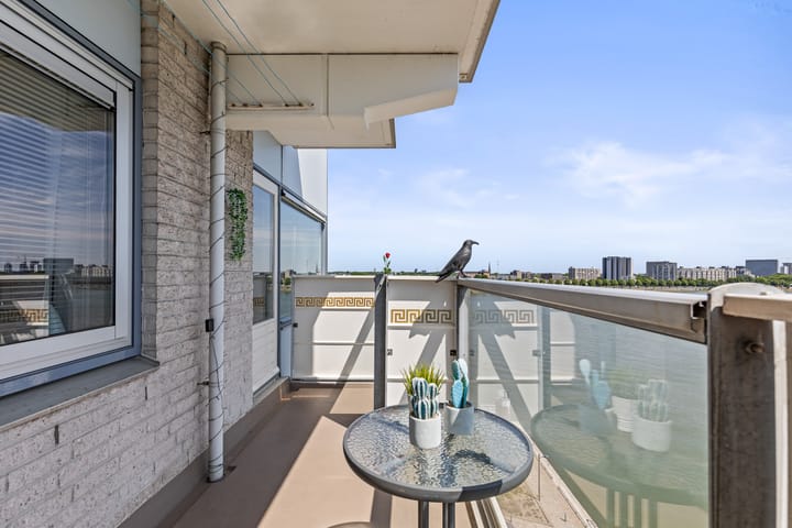 Foto 17 van Koopvaardijhof 136