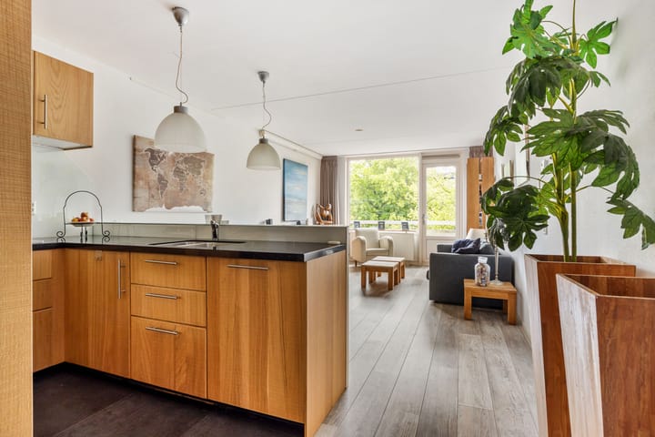 Foto 12 van Middellaan 220