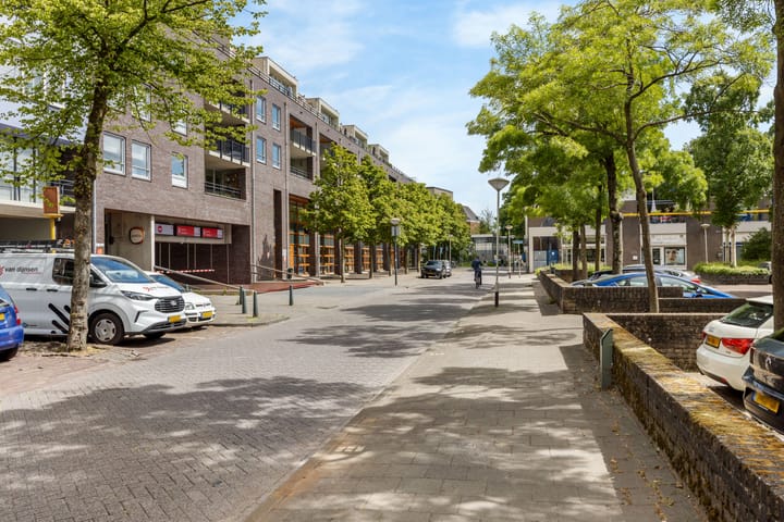 Foto 25 van Middellaan 220