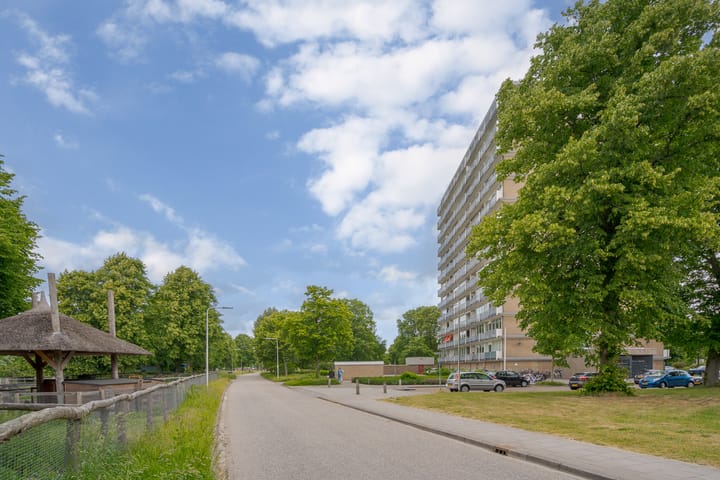 Foto 5 van Händellaan 231