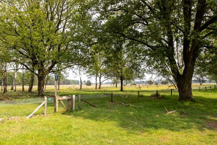 Photo 50 of Schotkampweg 177