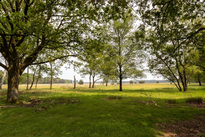 Photo 51 of Schotkampweg 177