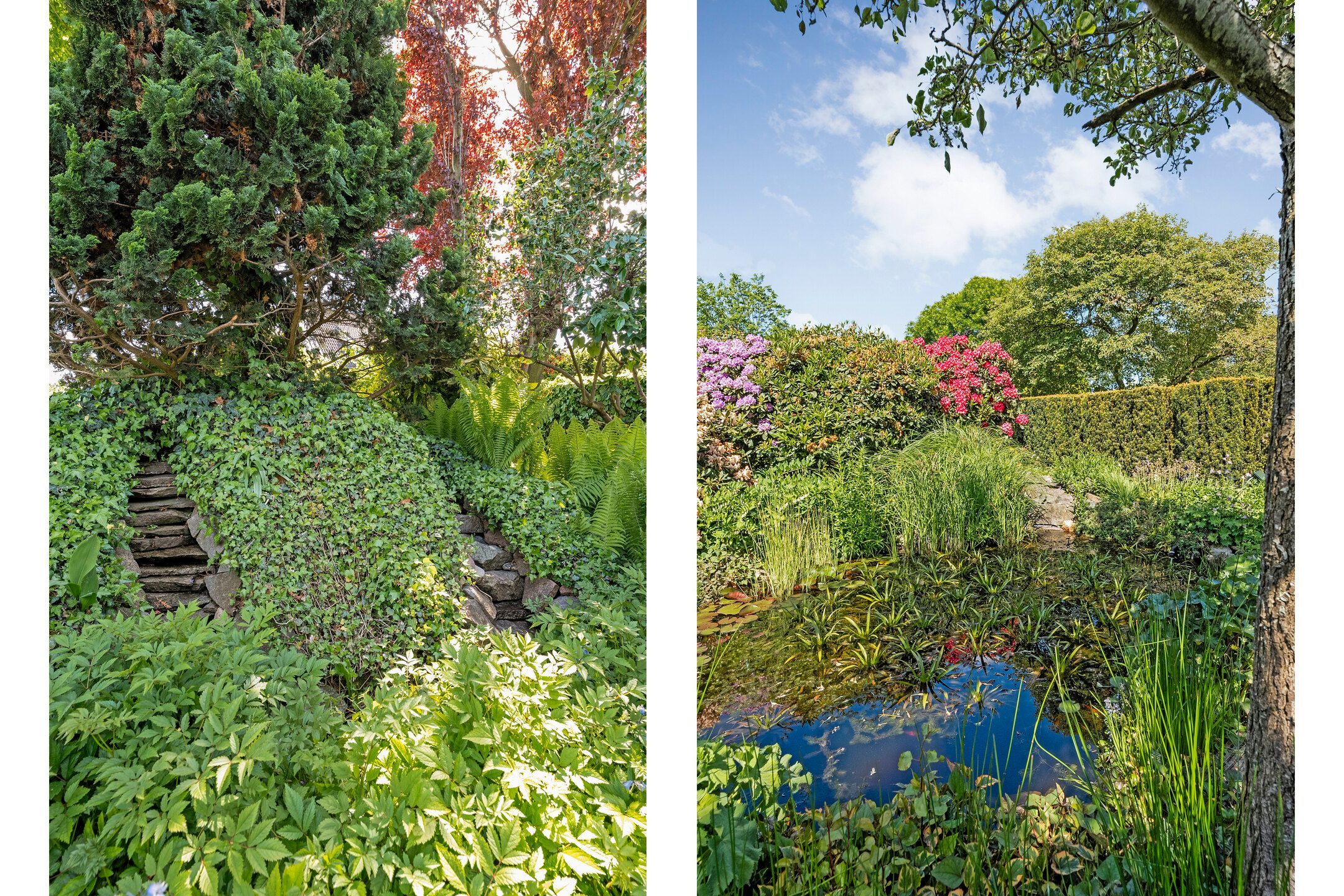 Foto 33 van Rheezerend 118