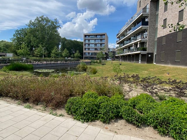 Foto 2 van Amer 10