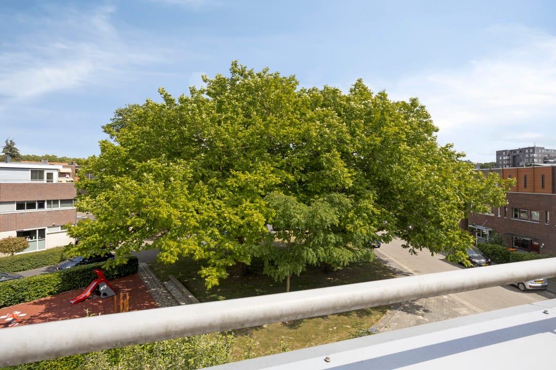 Photo 31 of Wessex 9