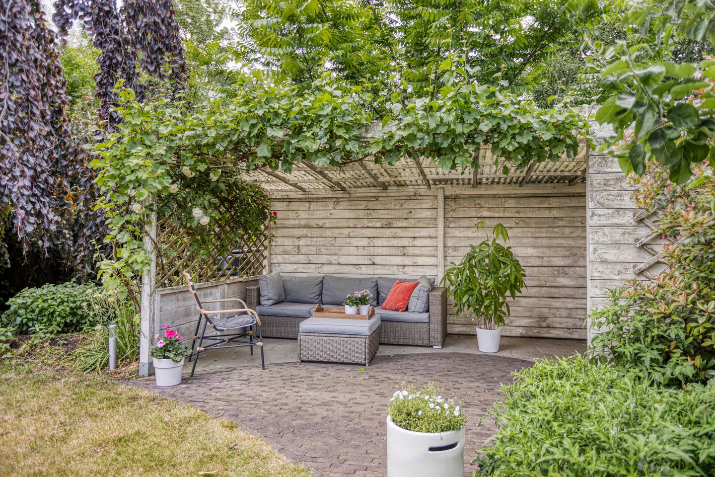 Photo 34 of Wessex 9