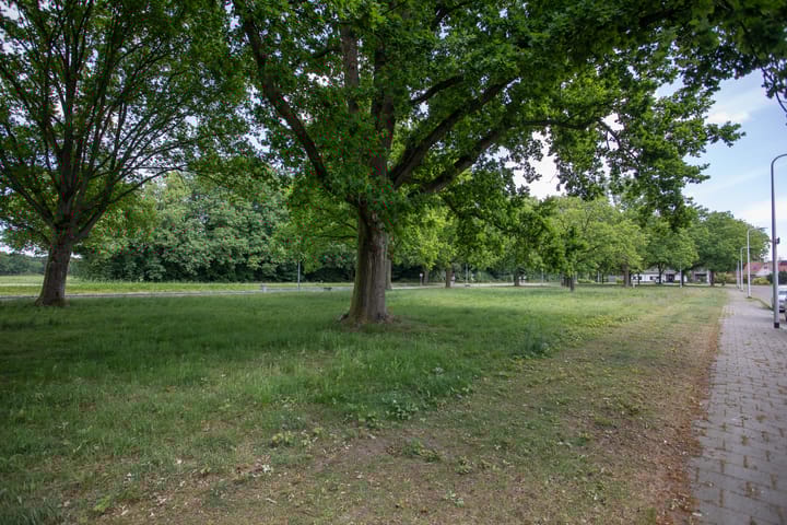 Foto 50 van Boerhaavelaan 4