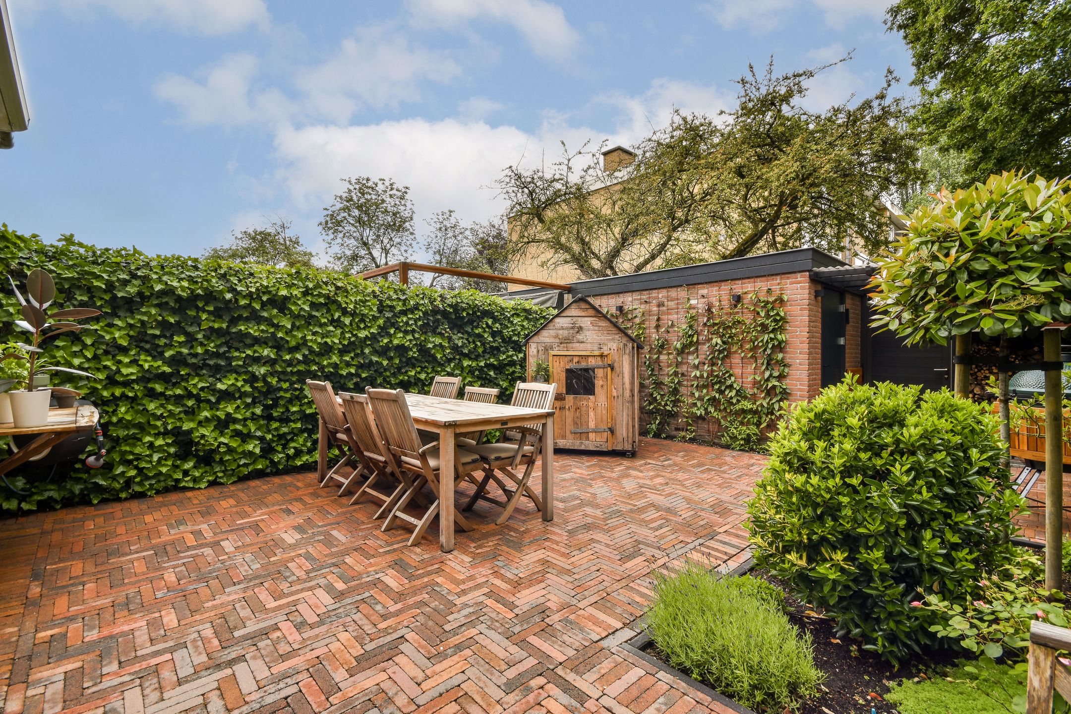 Foto 12 van De Bosporus 24